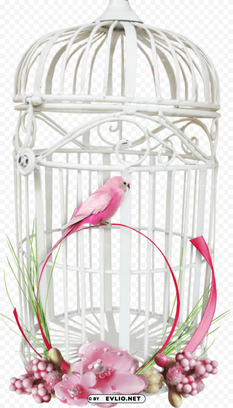 white bird cage PNG images with alpha transparency free