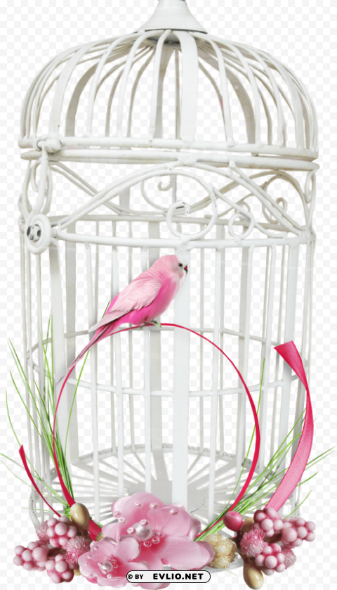 White Bird Cage PNG Images With Alpha Transparency Free