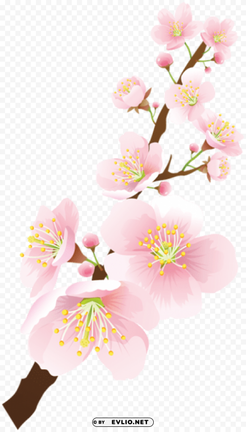 blooming spring branch PNG Image with Isolated Graphic Element