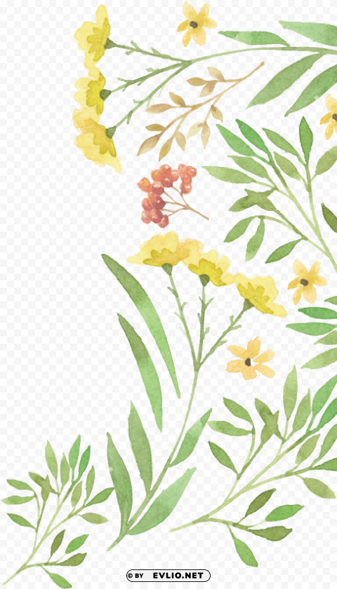 green watercolour flower PNG for social media