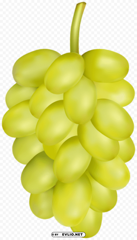 white grape PNG for presentations