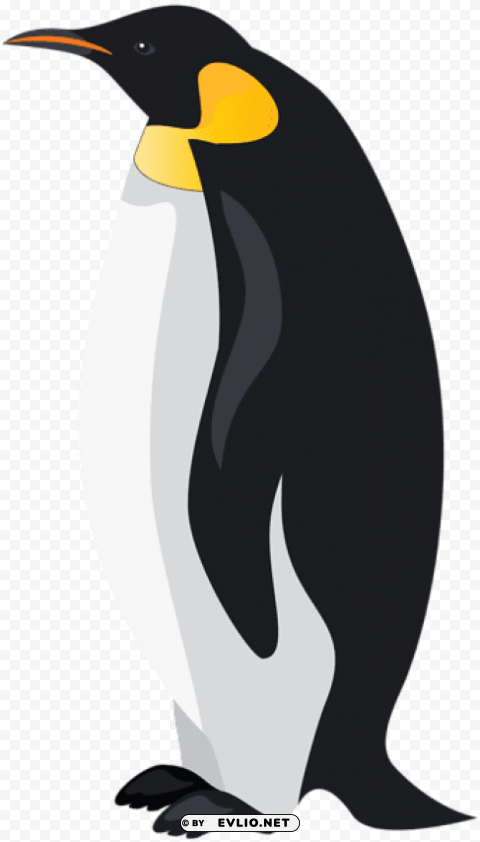 emperor penguin Isolated Design Element in HighQuality PNG