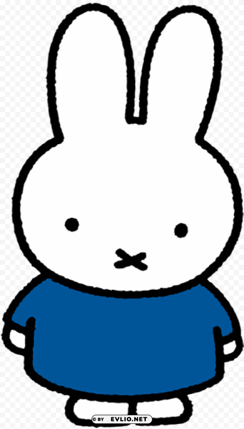 miffy blue dress PNG Isolated Design Element with Clarity
