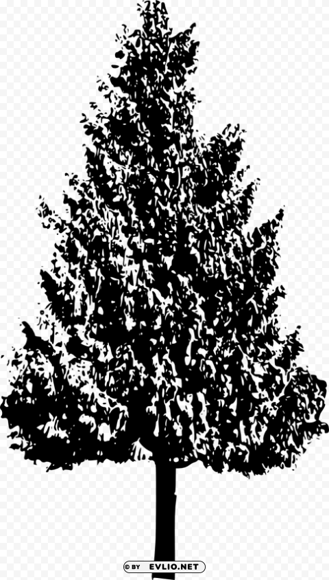 tree ilhouette Isolated Object with Transparency in PNG