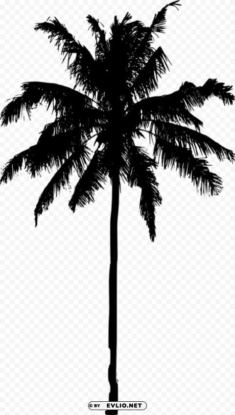 Palm Tree Silhouette Clean Background Isolated PNG Graphic