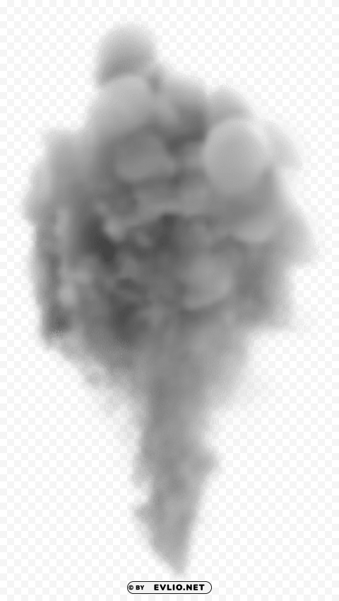 PNG image of large smoke PNG files with transparent canvas extensive assortment with a clear background - Image ID 4b422c3e