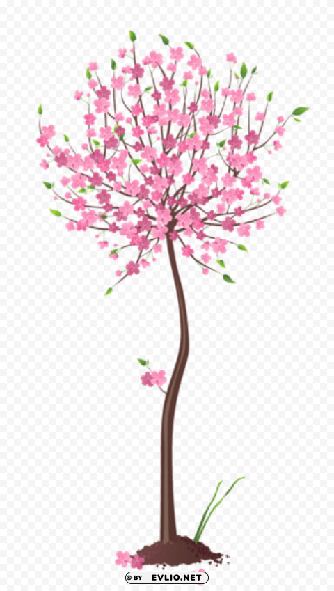 Spring Pink Tree PNG With Transparency And Isolation