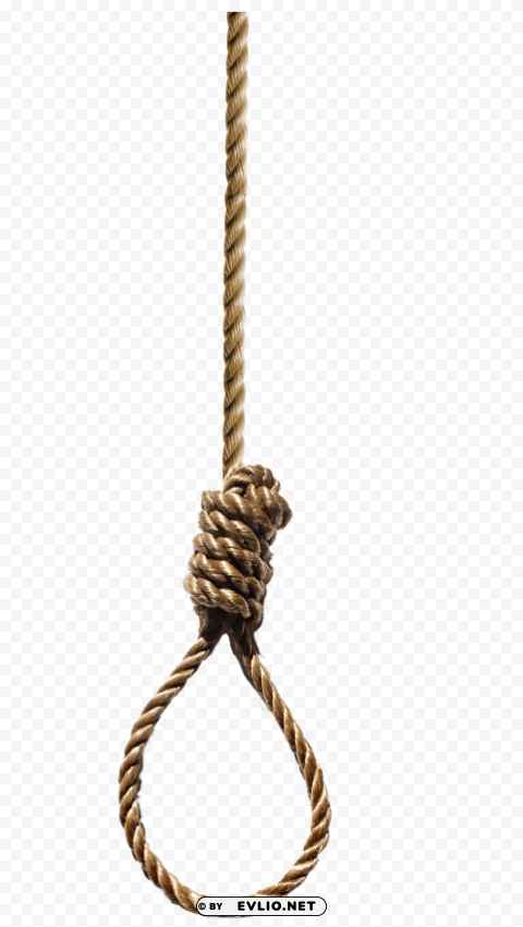 rope Transparent PNG graphics complete archive