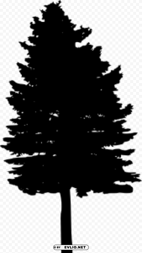 Pine Tree Silhouette PNG transparent photos library