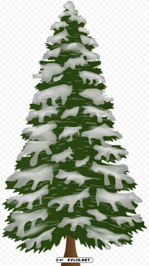 pine tree with snow PNG files with no royalties