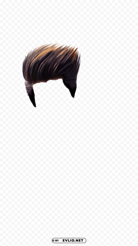 hair High-resolution PNG png - Free PNG Images ID 97906a25