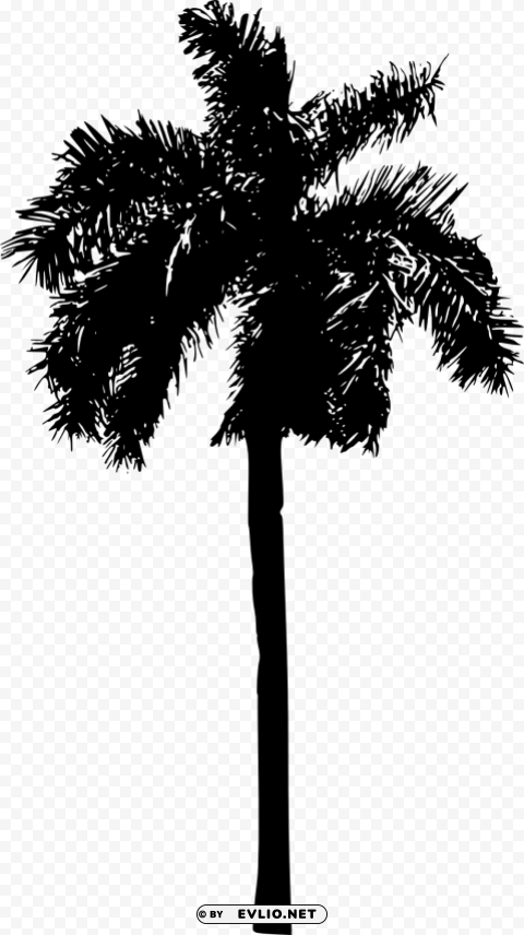 Palm Tree Isolated Icon On Transparent Background PNG