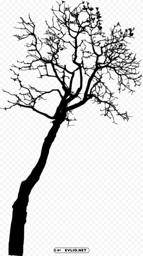bare tree silhouette Isolated Character on Transparent PNG