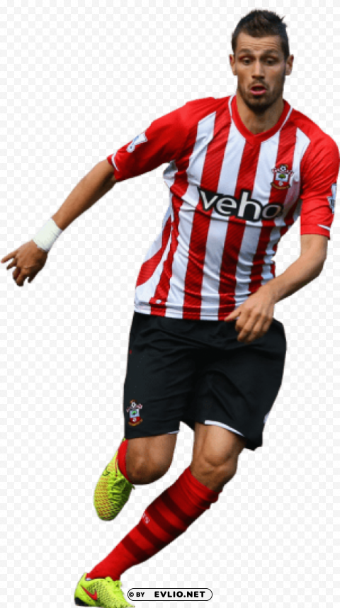 morgan schneiderlin Clean Background Isolated PNG Graphic Detail