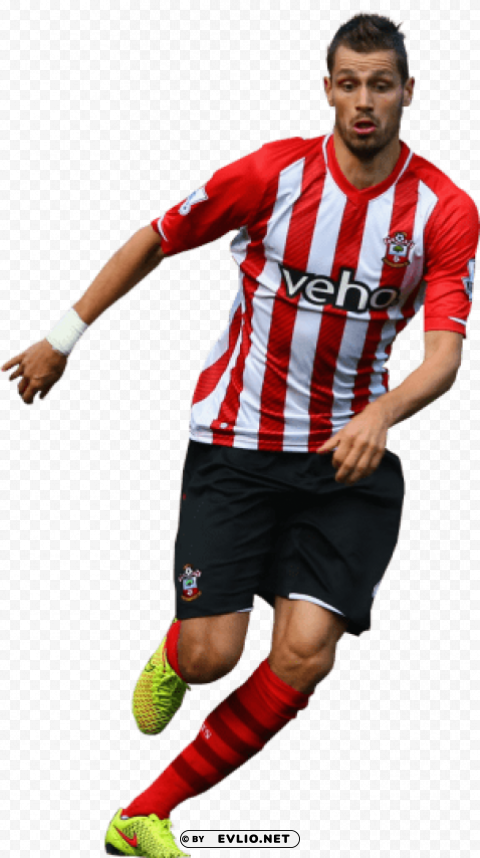 Morgan Schneiderlin Clean Background Isolated PNG Graphic Detail