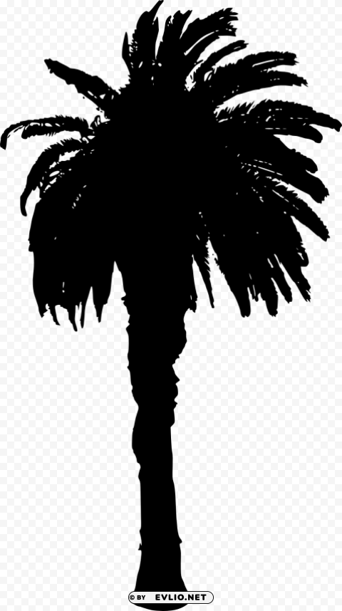 Transparent palm tree Isolated Illustration with Clear Background PNG PNG Image - ID 68510b8b