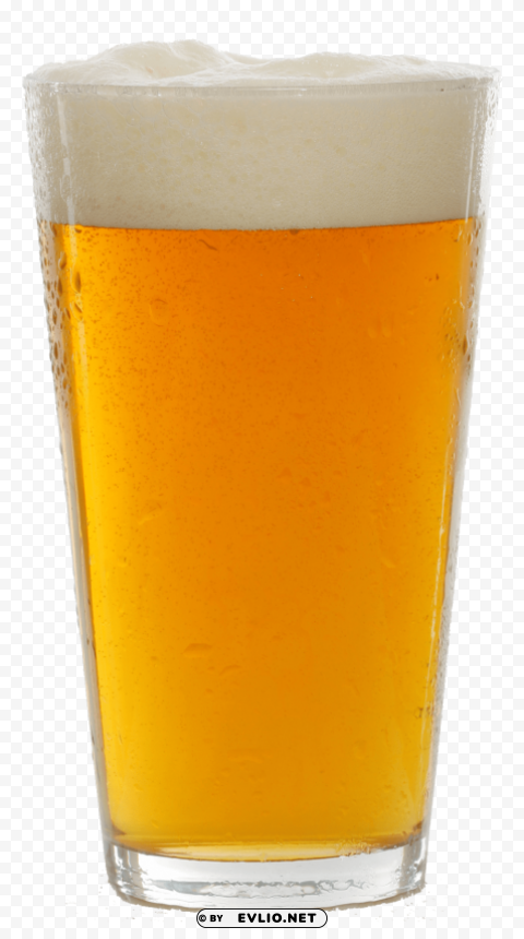 Beer In Mug HighResolution PNG Isolated On Transparent Background