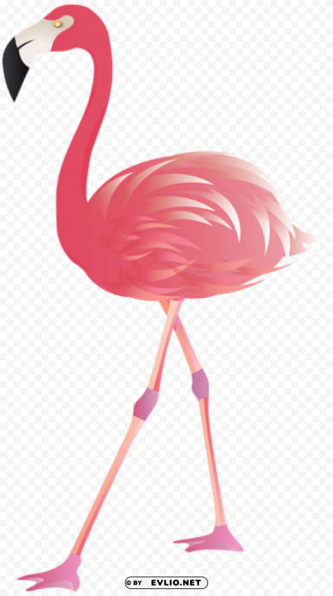 flamingo HD transparent PNG