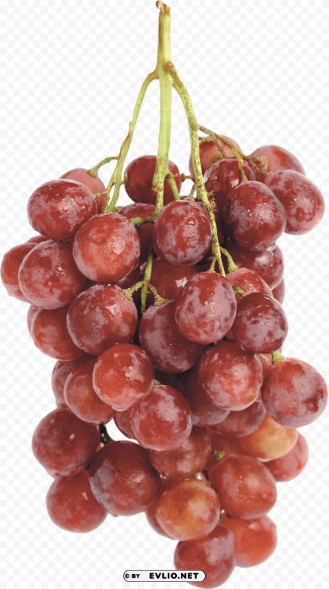 red grapes Isolated PNG Element with Clear Transparency