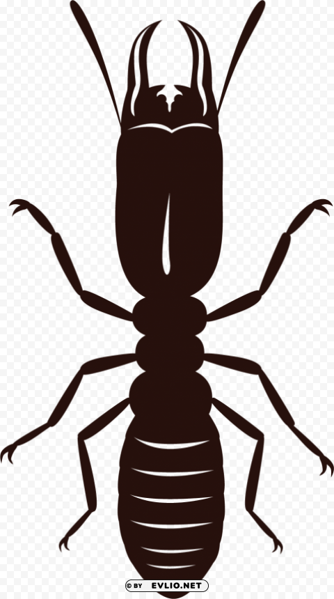 termite Free download PNG images with alpha channel png images background - Image ID 77069d58