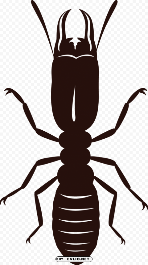 Termite Free Download PNG Images With Alpha Channel