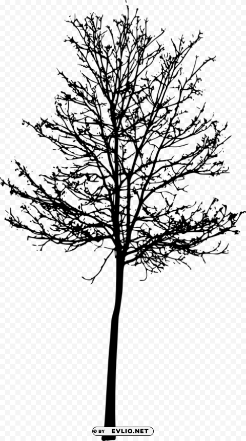 Transparent tree silhouette No-background PNGs PNG Image - ID 6f17f6f3