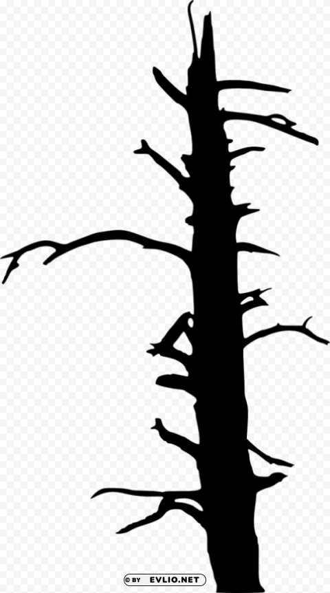 dead tree silhouette PNG images transparent pack