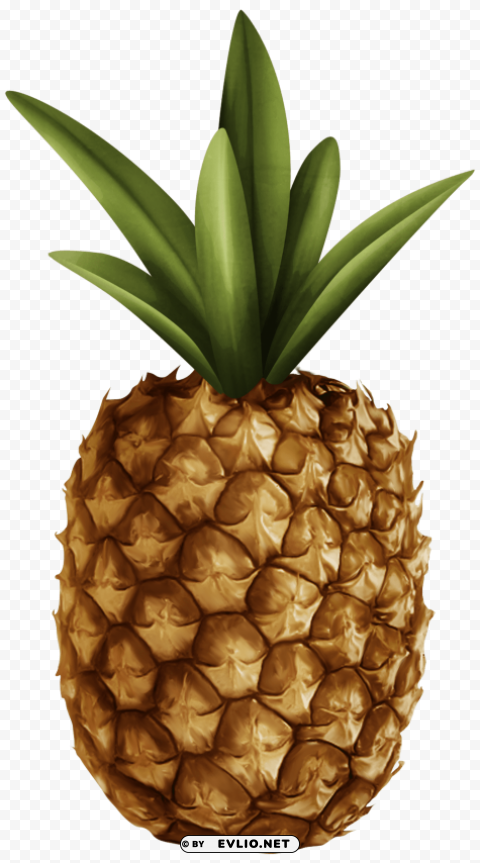 pineapple PNG transparent graphic