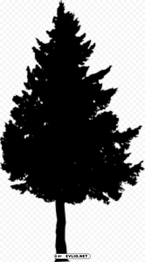 Pine Tree Silhouette PNG with no background required