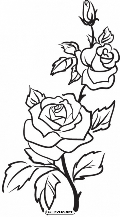  rose outline s Isolated Design Element on PNG clipart png photo - 55070e35