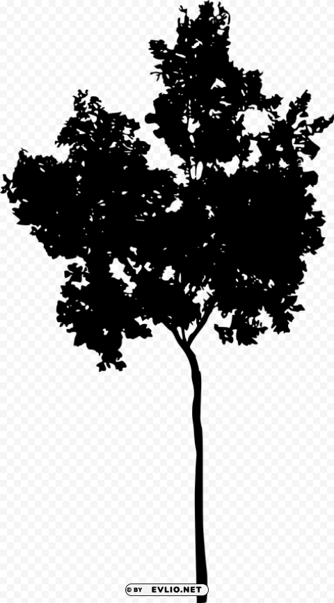 Transparent tree silhouette PNG design PNG Image - ID 8cee5dd4