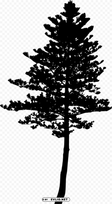 pine tree silhouette Transparent PNG graphics variety