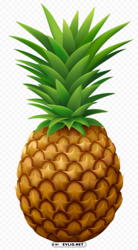 pineapple png vector Alpha PNGs