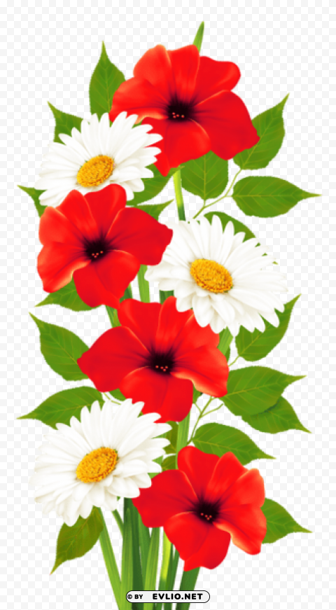 Poppies And Daisies High-resolution Transparent PNG Images Assortment