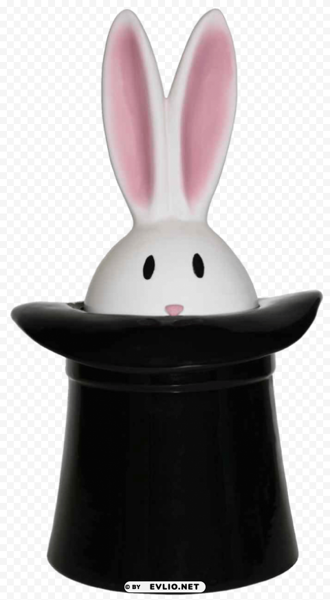rabbit hat image Transparent Background PNG Isolated Illustration png - Free PNG Images ID ffbd5e95
