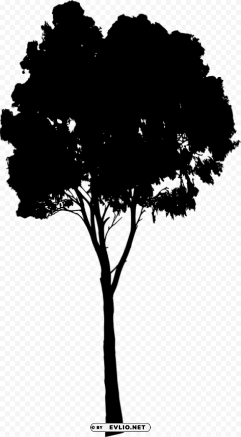 Tree Silhouette Transparent background PNG stockpile assortment