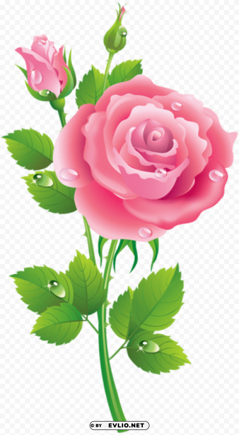 PNG image of rose pink transparent PNG with clear overlay with a clear background - Image ID 6bfb8932