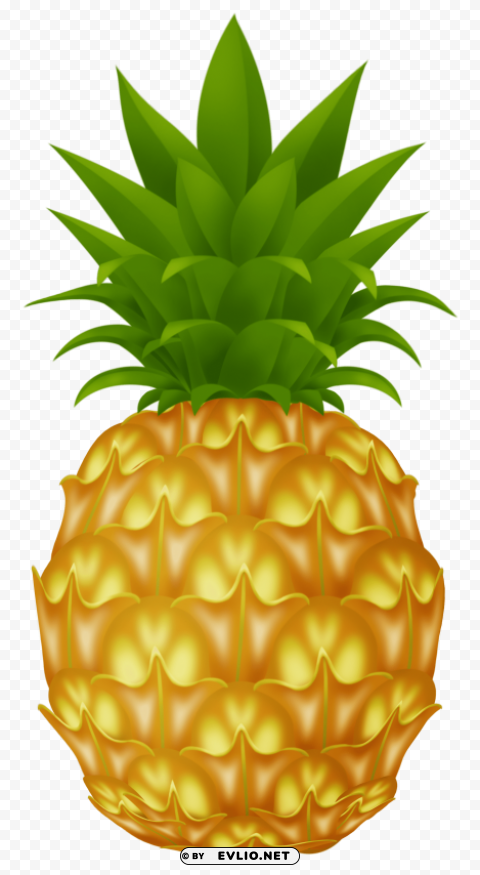 pinapple Transparent PNG image free