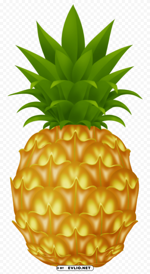 pineapple High-resolution transparent PNG images variety