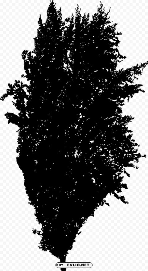 tree ilhouette Isolated Object in HighQuality Transparent PNG