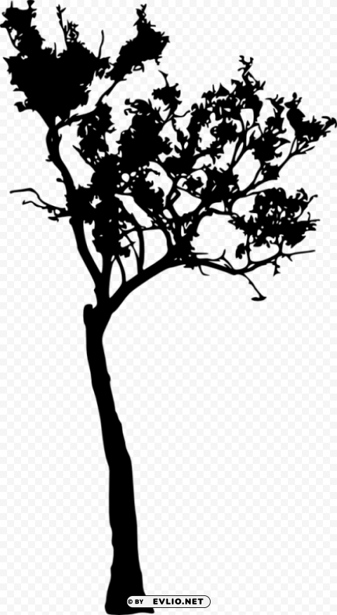 Tree Silhouette Transparent Graphics