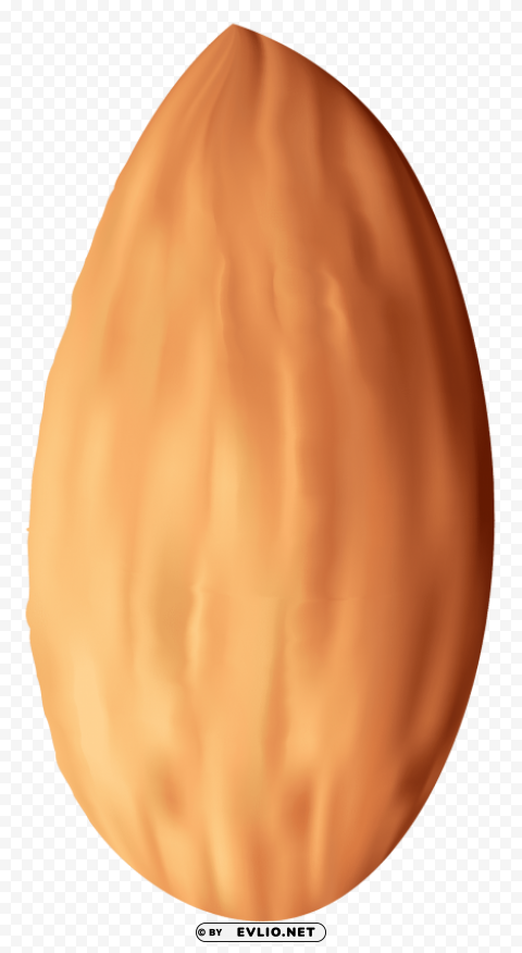 Almond Nut PNG Photo With Transparency