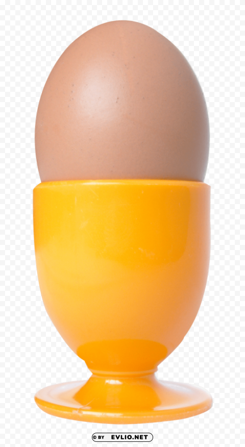 egg Isolated Item on Transparent PNG Format