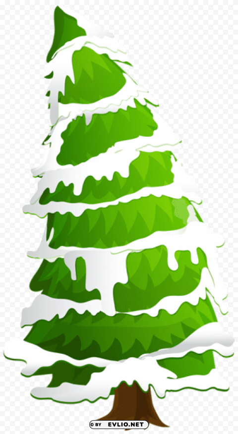 pine tree with snow PNG for use