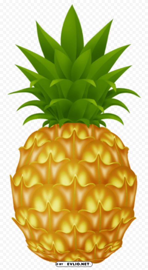 pineapple Clear PNG image
