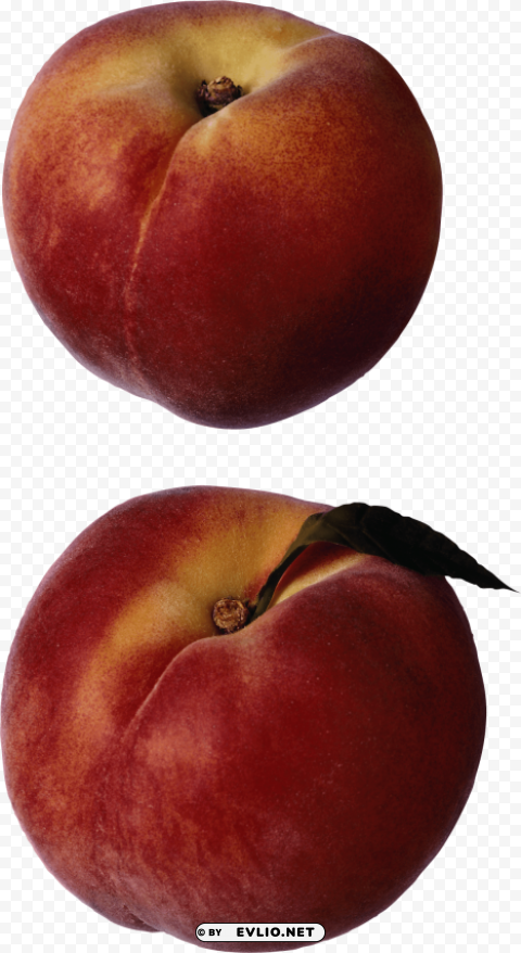 peach PNG file with no watermark