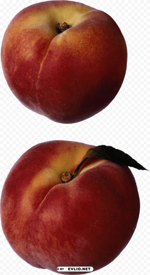 peaches PNG images for graphic design