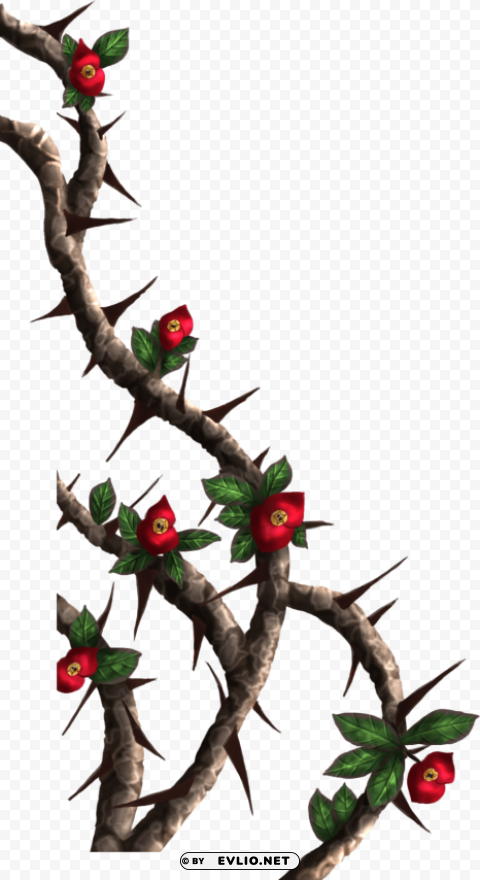 rose thorns PNG transparent photos assortment