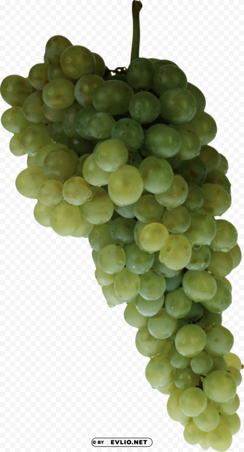 Grape PNG With Transparency And Isolation