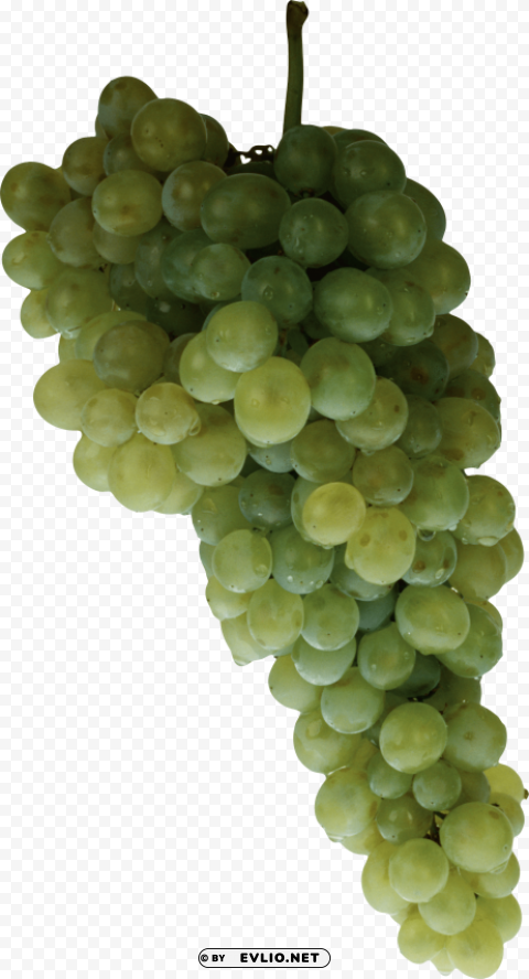 green grapes PNG clipart with transparent background